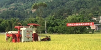 涪陵区：召开水稻直播机收示范现场会 - 农业机械化信息
