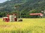 涪陵区：召开水稻直播机收示范现场会 - 农业机械化信息