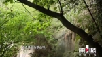 重庆珍档丨朱元璋张献忠都曾“激战”的地方，如今是市民的健身步道 - 重庆晨网
