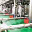 九月六日，涪陵榨菜集团股份有限公司，工人在进口榨菜生产线观察计量包装线运行情况。记者 卢越 摄 - 重庆新闻网