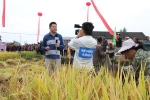 奉节县：央视记者见证奉节山区农民丰收的喜悦 - 农业机械化信息