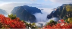 游高峡赏红叶，长江三峡（巫山）国际红叶节11月拉开帷幕 - 重庆晨网