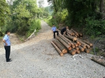 黔江区森林公安局查获一起滥伐林木案件 - 林业厅