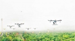 潼南区：无人机植保助推潼南柠檬产业发展 - 农业机械化信息