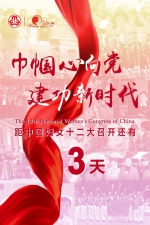 中国妇女十二大将于10月30日至11月2日在京召开 - 妇联