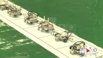 厉害了！南岸科技体育锦标赛 小选手们比拼机器人 - 重庆晨网