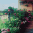 重庆“最美阳台”“最美庭院”创评结果即将出炉 百佳名单将在城市花博会开幕当日揭晓 - 旅游局