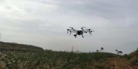 潼南区：农业机械化为现代农业插上腾飞的翅膀 - 农业机械化信息