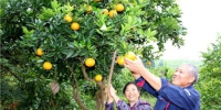 大足：实施乡村振兴战略行动计划 培育850名新型职业农民 - 重庆新闻网