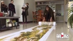 女子绣出21米长《清明上河图》 7年扎了600多万针 - 重庆晨网