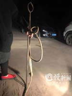 志愿者夜闯屠宰场救狗，狗场老板哽咽：没得法，家里7口人要盘活 - 重庆晨网