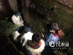 志愿者夜闯屠宰场救狗，狗场老板哽咽：没得法，家里7口人要盘活 - 重庆晨网