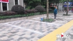 人行道上私自划线停车位 城管部门限期整改 - 重庆晨网