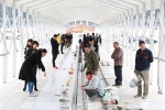 悦来公共艺术展十件作品齐亮相 “中轴线计划” - 重庆新闻网