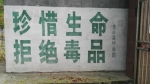 秀山县林业局开展林区禁种铲毒宣传 - 林业厅