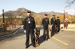 全国警犬技术大赛夺冠获奖 重庆刑警载誉归来 - 公安厅