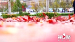 在重庆这里，初冬也可欣赏到“霜叶红于二月花” - 重庆晨网