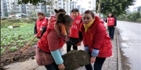 巾帼志愿者在开展保护社区环境活动2.jpg - 妇联