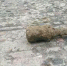 村民拾废铁挖出枚手榴弹 原来是抗战时期遗留物 - 重庆晨网
