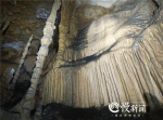 重庆探洞达人组 曾在丰都发现熊猫骨头化石 - 重庆晨网