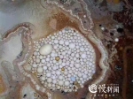 重庆探洞达人组 曾在丰都发现熊猫骨头化石 - 重庆晨网