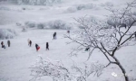 武隆仙女山被大雪覆盖，这才是冬季的正确打开方式！ - 重庆晨网