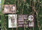 这个藏身于磁器口的“秘密花园”，90%的重庆人都没去过 - 重庆晨网