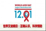 世界艾滋病日 中国援巴新医疗队为中资企业举行健康宣教 - 卫生厅