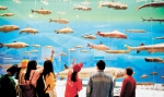 　　观众兴致勃勃地在重庆自然博物馆参观。(重庆日报资料图片)特约摄影 秦廷富 - 重庆新闻网