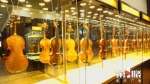全球最大提琴博物馆在荣昌建成开馆 世界各国的古董提琴都有 - 重庆晨网