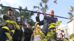 大爷自制2.58米霸气竹笛，吹响它还要靠臂力 - 重庆晨网