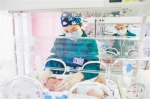 大年三十的新生儿监护室 - 重庆新闻网