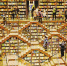 2月8日，在钟书阁书店内，书友们一边体验“魔幻”书店的设计，一边选购心仪的图书。新华社记者 刘潺 摄 - 重庆新闻网