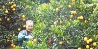 一个橙子的八年“蜕变史” - 重庆新闻网