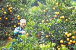 一个橙子的八年“蜕变史” - 重庆新闻网