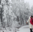 2月20日，游客在黔江区马喇镇灰千梁子赏雪。2月18日，当地出现雨雪天气，高山地区形成的冰挂、雾凇景观，吸引了不少游客观赏。 特约摄影 杨敏 - 重庆新闻网