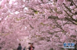 暖春蹁跹而来，捧一颗诗心来行关于“春”的飞花令吧！ - 重庆晨网