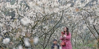 2月23日，市民在宝顶镇香山社区观赏盛开的樱桃花。当前，春风送暖，该镇种植的1000余亩樱桃花相继绽放，风景迷人。 记者黄舒摄 - 重庆新闻网