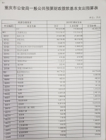 重庆市公安局2019年部门预算情况说明 - 公安厅