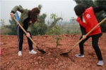 永川区妇联领导班子成员在参加植树活动 (2).jpg - 妇联