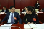 重庆代表团：结合典型案例议两高工作报告 - 检察