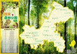 “国际森林日”即将到来，重庆这些5A级景区免费开放 - 重庆晨网
