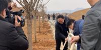 秀山县掀起植树造林新高潮 - 林业厅