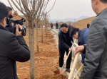 秀山县掀起植树造林新高潮 - 林业厅