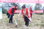 黔江区中塘乡志愿者种下“摇钱树” - 林业厅