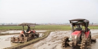 梁平区：推进水稻机插社会化服务 - 农业机械化信息
