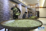 （图片故事）（10）涪陵榨菜：舌尖上的“国民下饭菜” - 重庆晨网