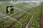 水肥一体化技术简介 - 农业机械化信息