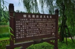重庆掌故丨铜元局“地如其名”，重庆最早的铸币机构就在这 - 重庆晨网