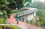 建设山城步道 打造美丽之地幸福路 - 重庆新闻网